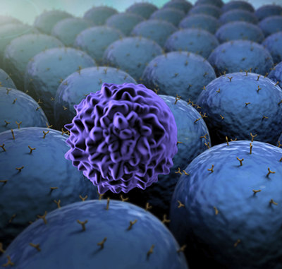 AMSBIO: High Quality Proteins for Killer Cell Receptor Research