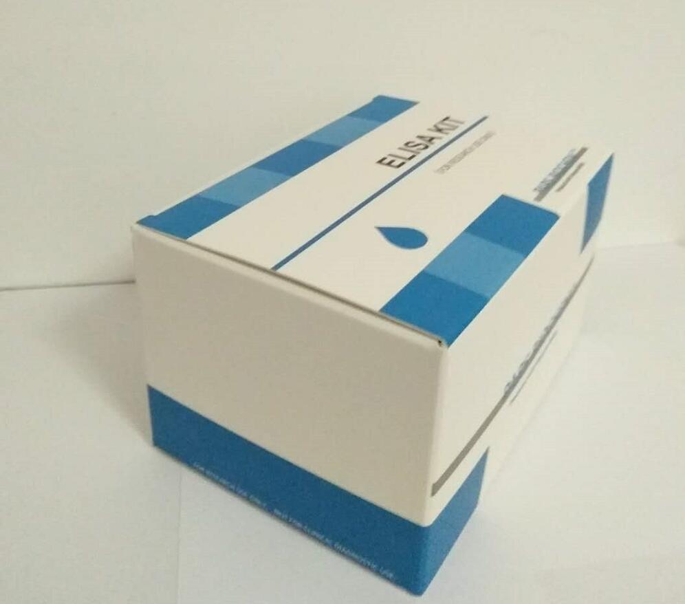 Foot And Mouth Disease Virus Type A Antibody ELISA Kit FMD ibookbio 