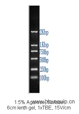 DNAラダーマーカー DNAmark?500bp-