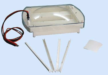 Introduction of electrophoresis picture