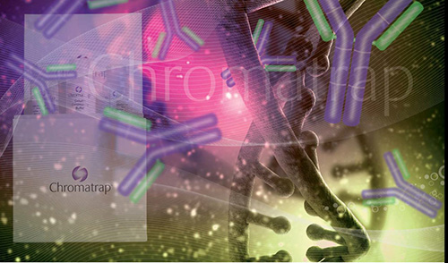 Chromatrap:High Quality Specific ChIP-validated Antibodies