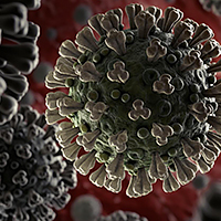 Novel coronavirus